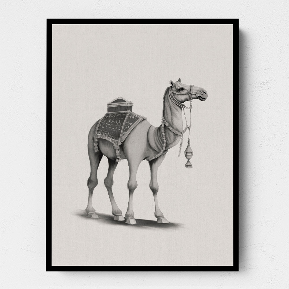 Graphic Camel Wall Art